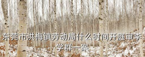 東莞市洪梅鎮(zhèn)勞動局什么時間開庭審李學群一案