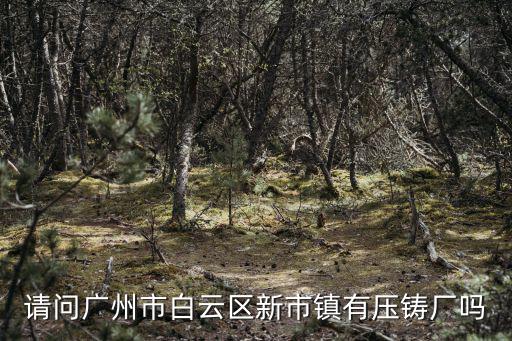 請(qǐng)問(wèn)廣州市白云區(qū)新市鎮(zhèn)有壓鑄廠嗎