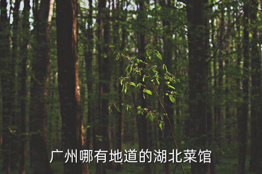 廣州哪有地道的湖北菜館