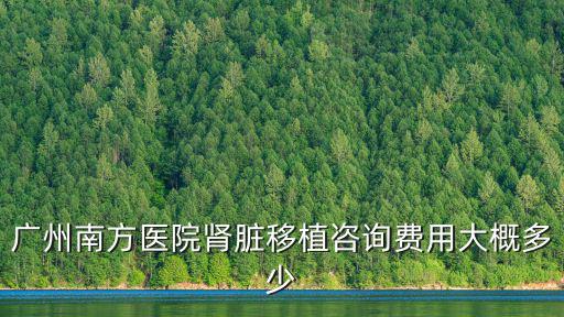 廣州南方醫(yī)院腎臟移植咨詢費用大概多少