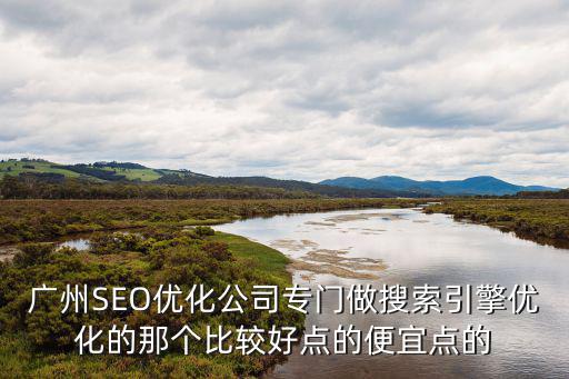 廣州SEO優化公司專門做搜索引擎優化的那個比較好點的便宜點的