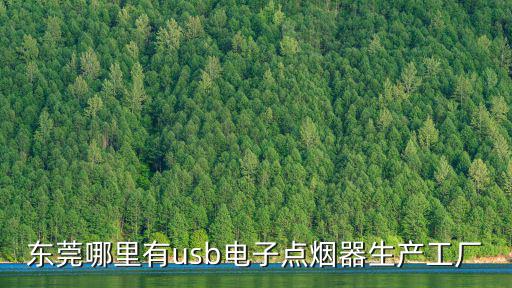 東莞哪里有usb電子點煙器生產工廠