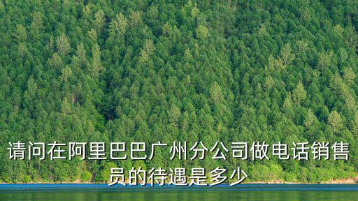 請問在阿里巴巴廣州分公司做電話銷售員的待遇是多少