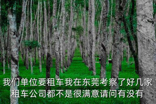 我們單位要租車我在東莞考察了好幾家租車公司都不是很滿意請問有沒有