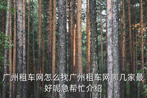 廣州租車網(wǎng)怎么找廣州租車網(wǎng)哪幾家最好呢急幫忙介紹
