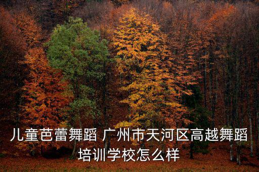廣州舞蹈培訓 肖老師，兒童芭蕾舞蹈 廣州市天河區高越舞蹈培訓學校怎么樣