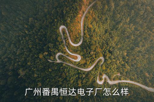廣州番禺恒達(dá)電子廠怎么樣