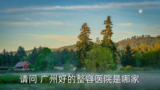 請問 廣州好的整容醫院是哪家