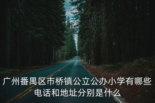 廣州市花都區(qū)新華保利小學(xué)電話，花都新華鎮(zhèn)第一小學(xué)的地址