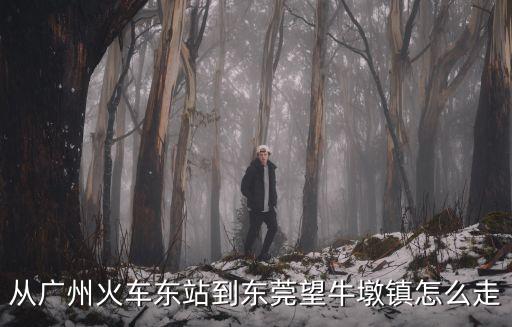 從廣州火車東站到東莞望牛墩鎮(zhèn)怎么走