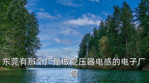 東莞市正聯電子科技有限公司，網友們請問這是在東莞大朗犀牛坡附近的什么電子廠叫什么廠