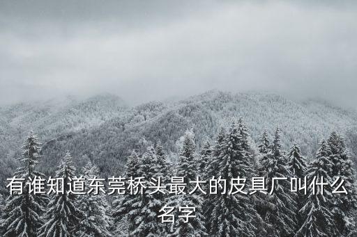 有誰知道東莞橋頭最大的皮具廠叫什么名字