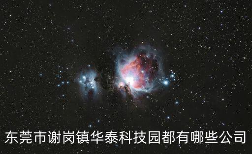 東莞市謝崗鎮華泰科技園都有哪些公司