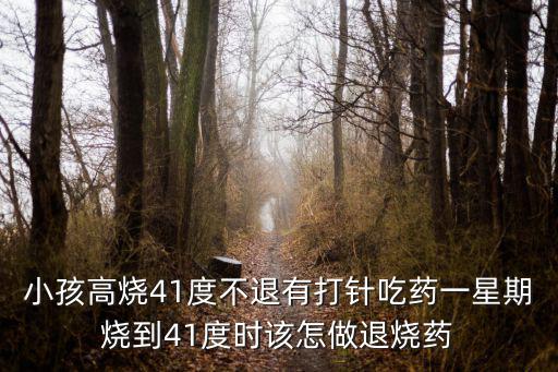 小孩高燒41度不退有打針吃藥一星期燒到41度時該怎做退燒藥