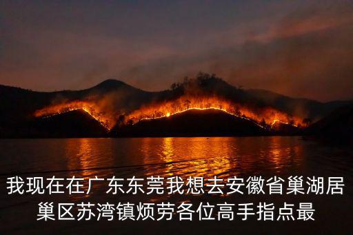 我現在在廣東東莞我想去安徽省巢湖居巢區蘇灣鎮煩勞各位高手指點最
