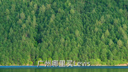 levis廣州，廣州市levis中國專賣店廣州市在那
