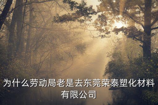 為什么勞動局老是去東莞榮泰塑化材料有限公司