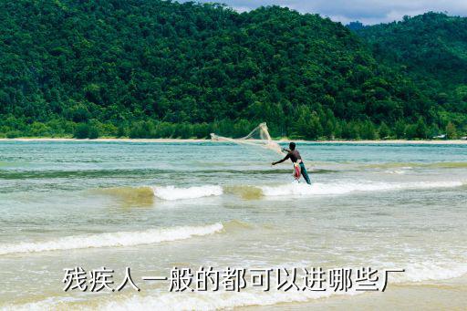 殘疾人一般的都可以進(jìn)哪些廠