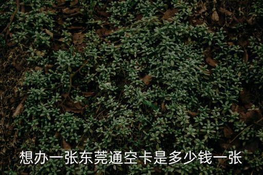 東莞通哆啦a夢卡11元，請問那里可購買東莞通卡 因為想在11號線碧頭地鐵站搭長安26路公交