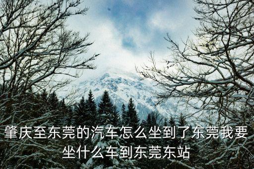 肇慶至東莞的汽車怎么坐到了東莞我要坐什么車到東莞東站