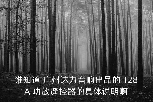 誰知道 廣州達力音響出品的 T28A 功放遙控器的具體說明啊