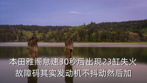 廣州本田 P0339，廣州廣本摩托車怎么樣