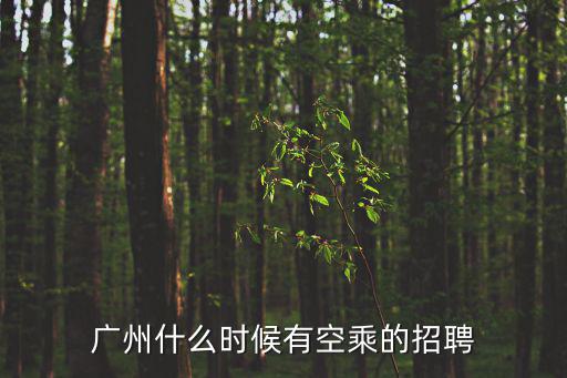 廣州14年空姐招聘，廣州機(jī)場空姐的工資是多少