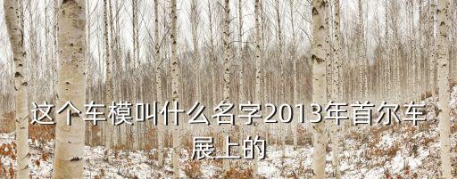 柳智慧廣州車展，這個(gè)車模叫什么名字2013年首爾車展上的