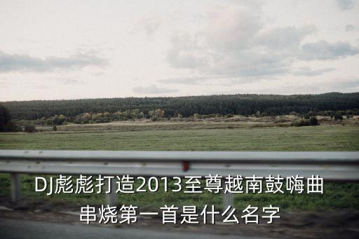 DJ彪彪打造2013至尊越南鼓嗨曲串燒第一首是什么名字