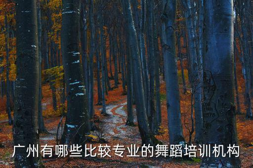 廣州有哪些比較專業的舞蹈培訓機構