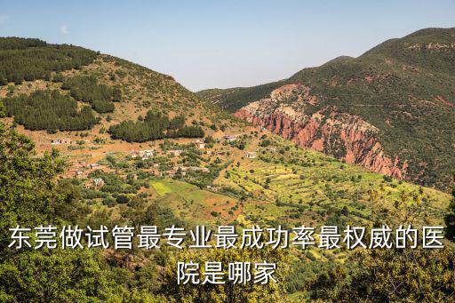 東莞做試管最專業最成功率最權威的醫院是哪家