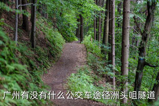 廣州有沒有什么公交車途徑洲頭咀隧道