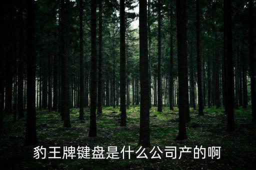 豹王牌鍵盤是什么公司產的啊