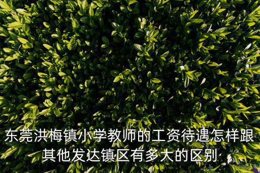 東莞洪梅鎮(zhèn)小學(xué)教師的工資待遇怎樣跟其他發(fā)達(dá)鎮(zhèn)區(qū)有多大的區(qū)別