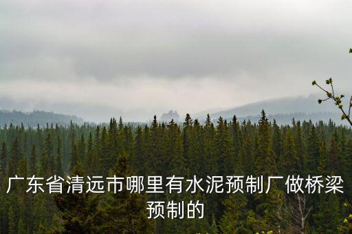 廣州 水泥預制件，廣東省清遠市哪里有水泥預制廠做橋梁預制的