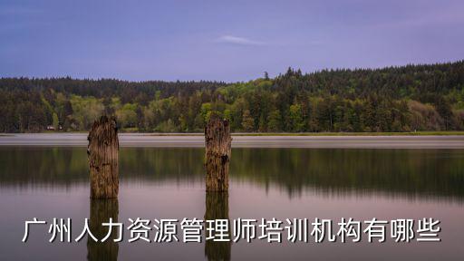 廣州人力資源管理師培訓機構有哪些