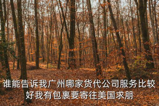 誰能告訴我廣州哪家貨代公司服務比較好我有包裹要寄往美國求朋