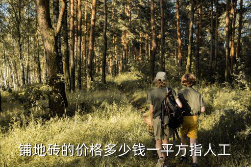鋪地磚的價格多少錢一平方指人工