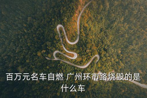 百萬元名車自燃 廣州環市路燒毀的是什么車