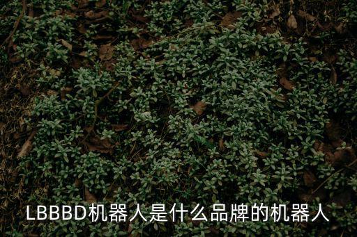 LBBBD機器人是什么品牌的機器人