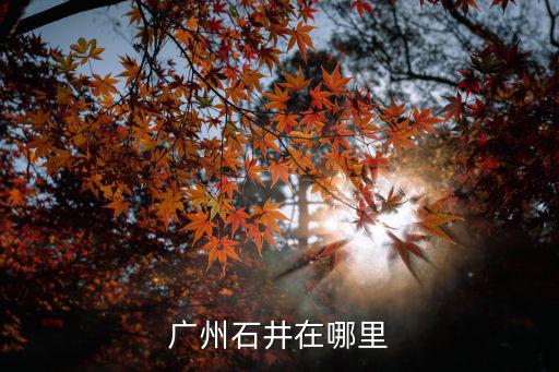 廣州石井在哪里