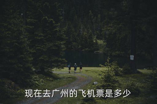 現在去廣州的飛機票是多少