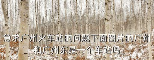 急求廣州火車站的問題下面圖片的廣州和廣州東是一個車站嗎