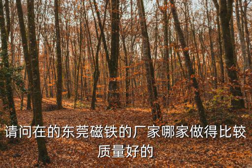 請問在的東莞磁鐵的廠家哪家做得比較質(zhì)量好的