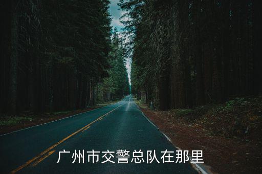 廣州市交警總隊在那里
