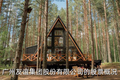 廣州友誼集團股份有限公司的股票概況