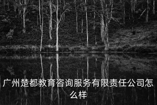 廣州楚都教育咨詢服務有限責任公司怎么樣