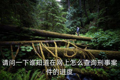 請問一下誰知道在網(wǎng)上怎么查詢刑事案件的進度