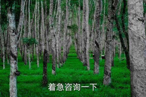著急咨詢一下