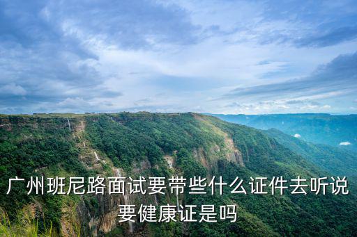 廣州班尼路面試要帶些什么證件去聽說要健康證是嗎